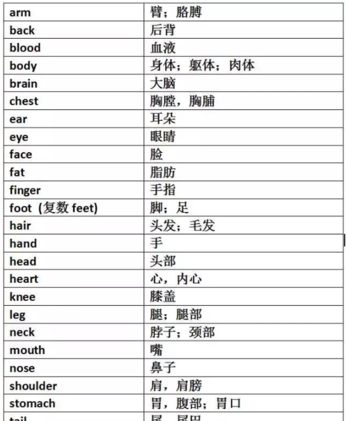 英语介绍自己的脸部器官
,人体器官介绍英文的长点的具体点报告要用图2