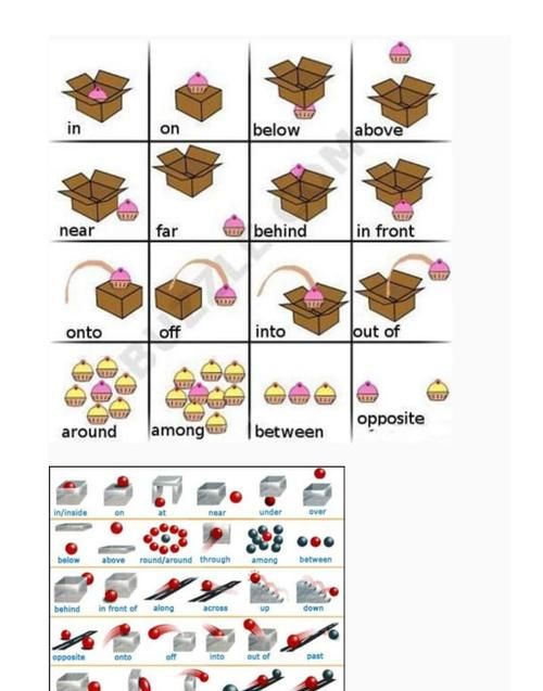 英语方位副词
,英语中副词的位置图5