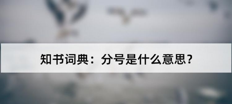 英语中的分号是什么意思
,分号有中英文的区别吗图4