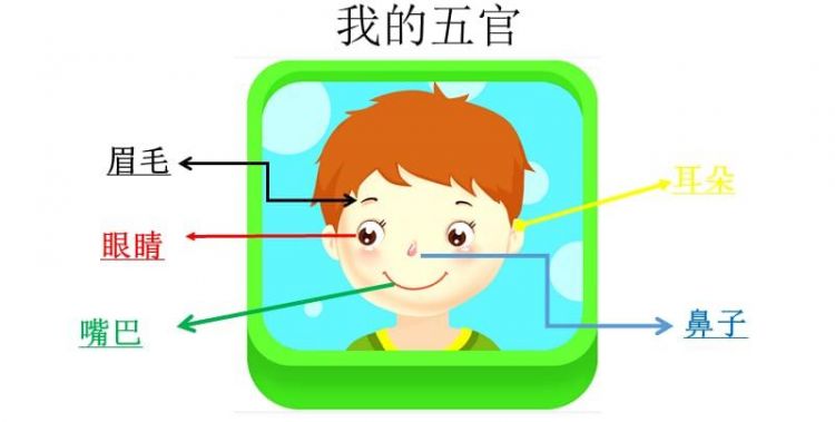 幼儿认识五官ppt课件
,幼儿园小班教案《认识五官》公开课图3