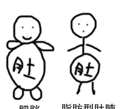 胖对廋的英语
,胖和瘦的英文分别是什么图1