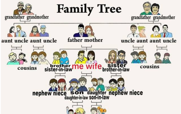 表示亲戚关系的英语单词
,亲戚用英语怎么说图2