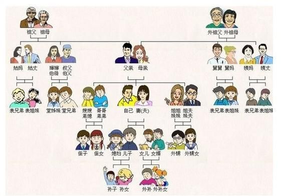 表示亲戚关系的英语单词
,亲戚用英语怎么说图3