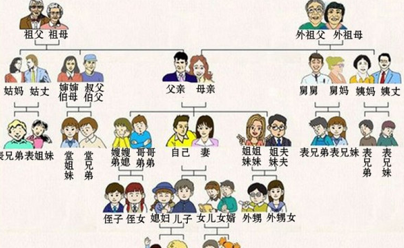 表示亲戚关系的英语单词
,亲戚用英语怎么说图4