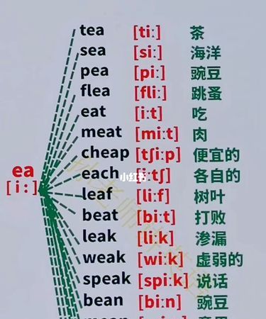 如何巧记英语单词
,巧记英语单词的方法快速高效图4