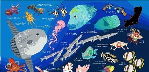 海洋生物的英文名
,保护海洋动物用英语怎么说图3