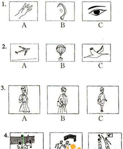 主谓一致简单思维导图
,主谓一致语法总结思维导图图4