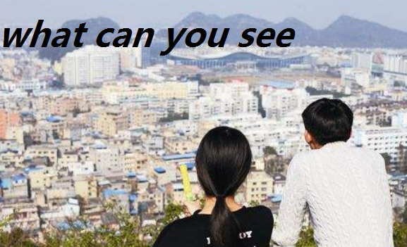 what can you see Chant
,whatcanyousee?怎么回答图2