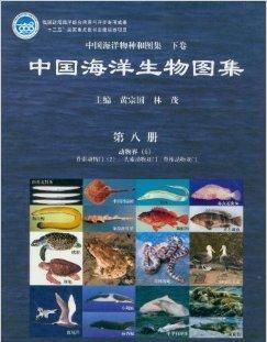 中国海洋生物图集
,海南有哪些常见的海洋生物图片图2