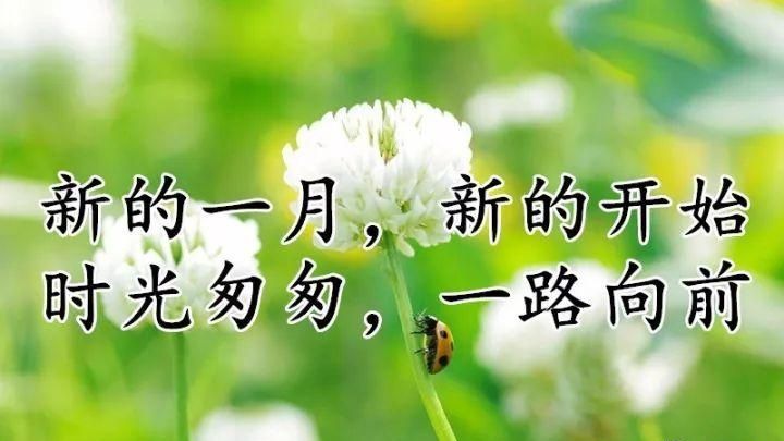 二月份祝福语简短
,喜庆祝福语四字图3