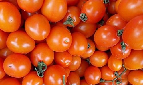 tomato什么意思
,tomato是什么意思怎么用图1