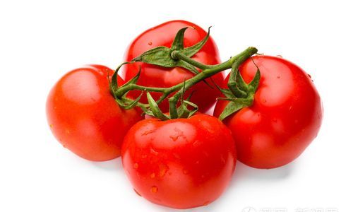 tomato的意思
,番茄英语的读音图4