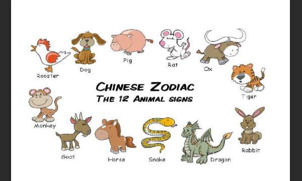 十二生肖动物单词英文怎么说
,十二生肖有哪些用英文怎么说图3