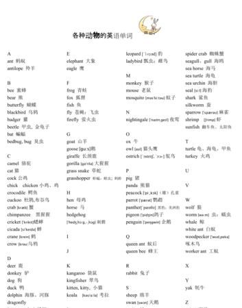 关于全部动物的英文分类
,关于动物的英语单词整理图4