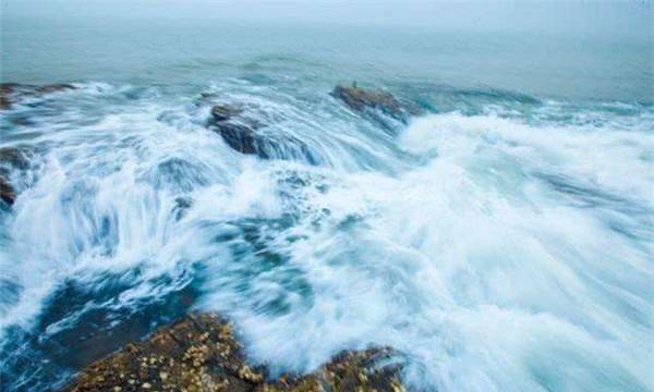 各种海洋动物的叫声
,什么的海浪声图1