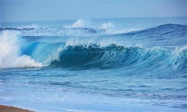 各种海洋动物的叫声
,什么的海浪声图3