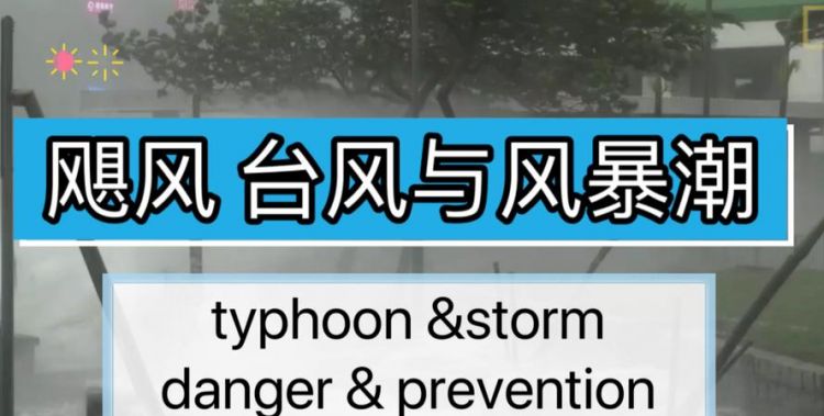 关于飓风的英语作文
,手机的危害英语作文带翻译中学生图3