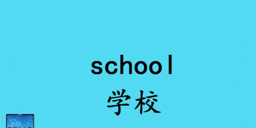 学校属于什么单位性质