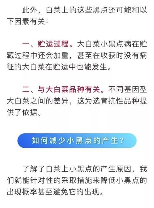 究竟的意思是什么