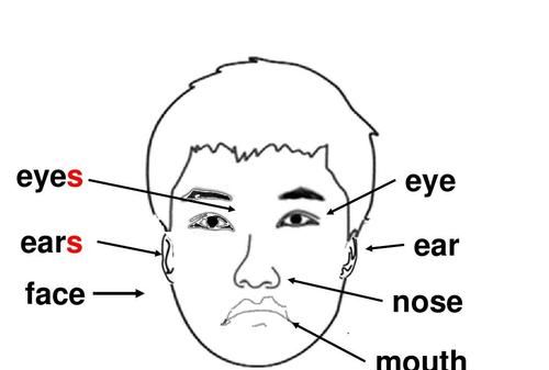 六年级上册英语家庭作业书的答案