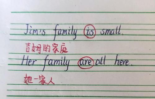 family的复数形式怎么写是什么意思