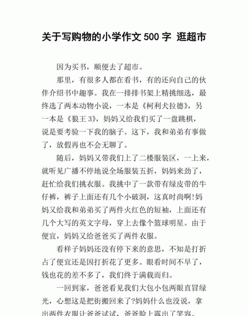 购物的感受500字优秀作文