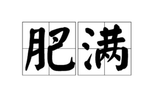 形容人胖瘦的词语或成语0个以上有哪些