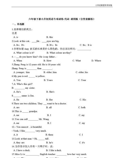 小升初英语语法专项训练试卷