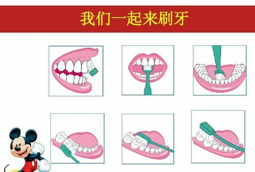 英语单词刷我的牙的短语怎么写