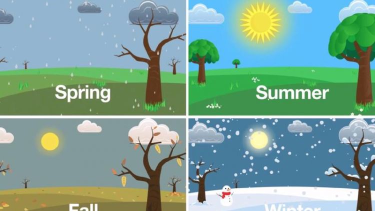 家乡四季天气的变化英语作文7句话怎么写