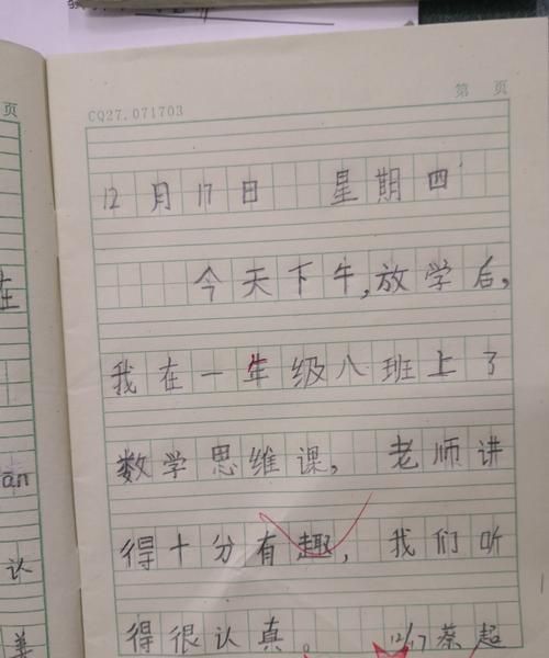 小学生日记大全20字