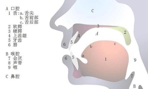 是的读音 是的拼音怎么写