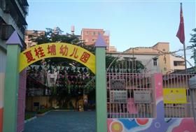 幼儿园小学中学高中大学然后是什么