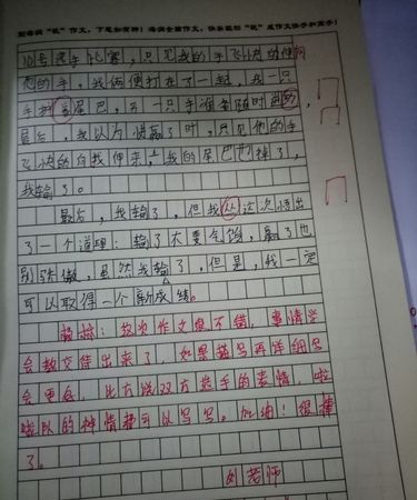 动作描写作文300字初中