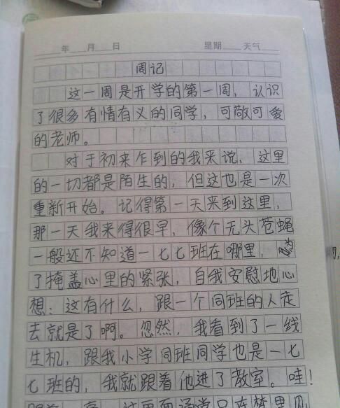 炒菜作文一百字加动词