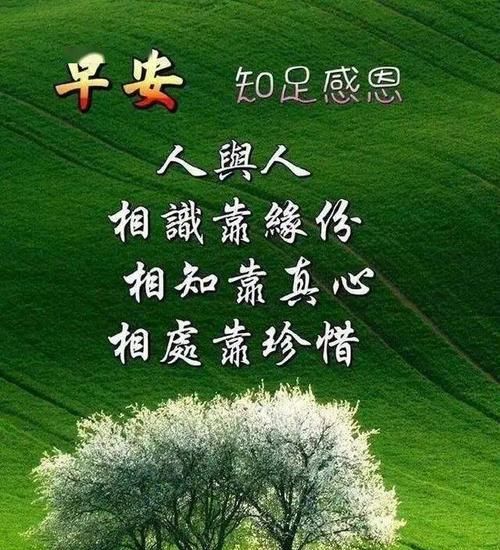 经典的日常问候语集锦