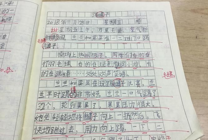 用动词写作文200字左右