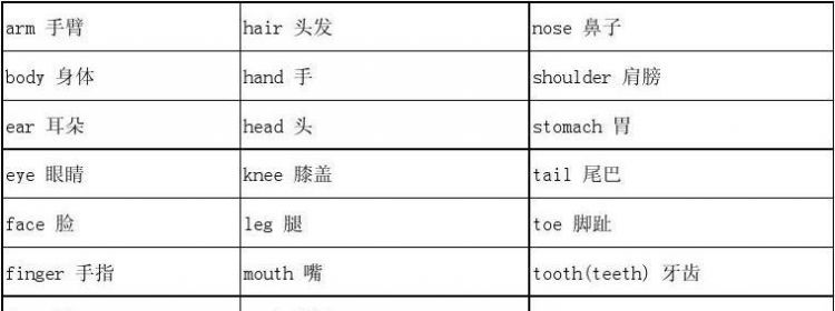 脸的英语是什么