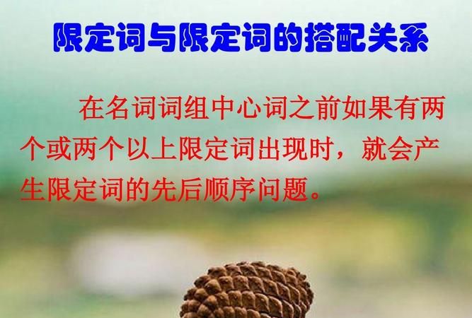 在英语中什么是限定词?