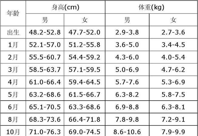 六年级上册英语作文写家人