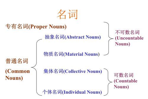 英语中名词分为哪两类