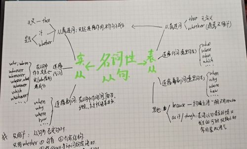 主语从句,宾语从句,定语从句,状语从句