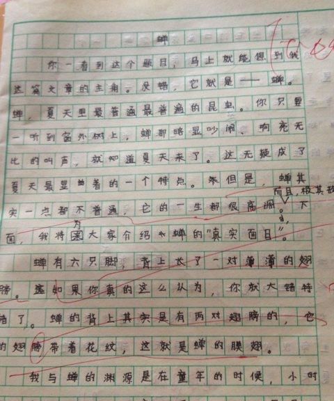 关于昆虫的英语作文50字数量