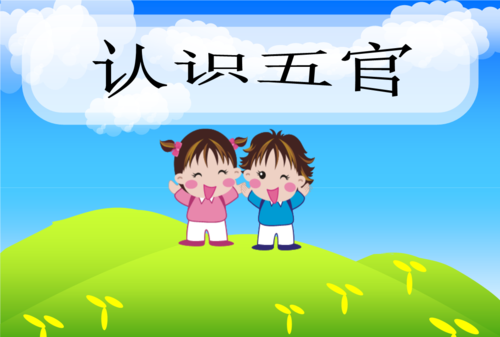 幼儿园小班科学活动认识颜色