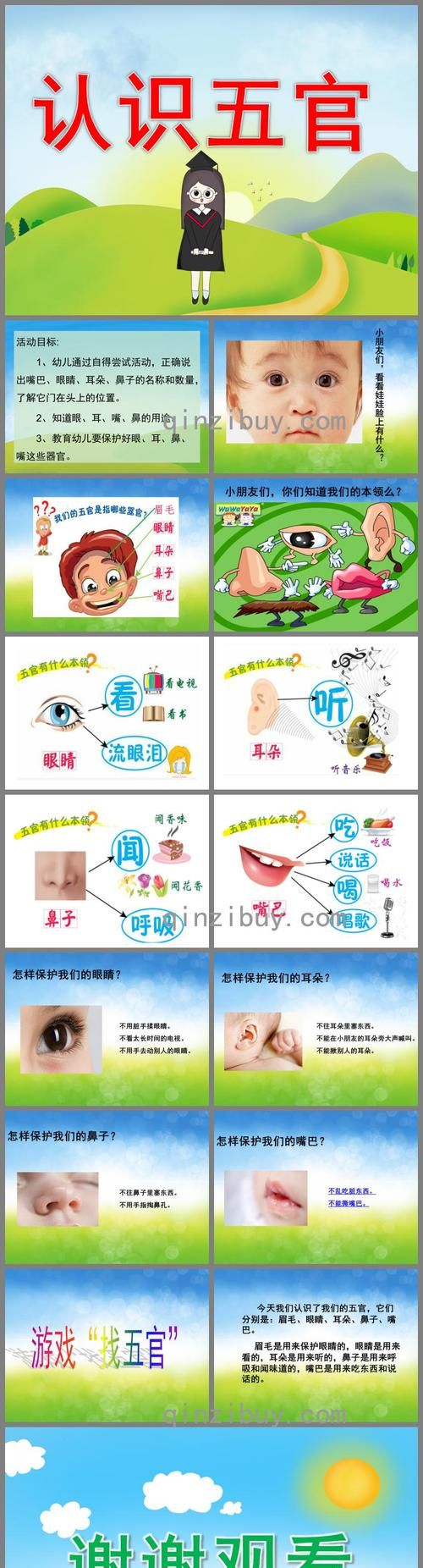 幼儿园小班科学领域优秀教案