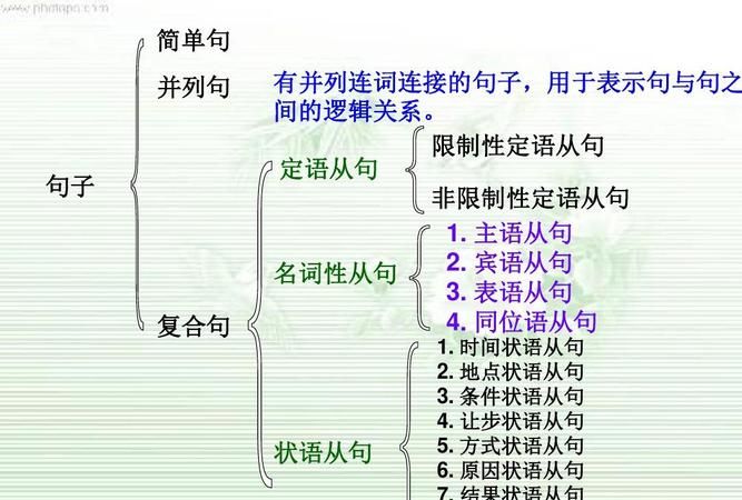 表语从句because的用法