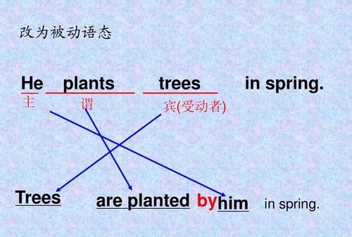 英语时态的被动形式