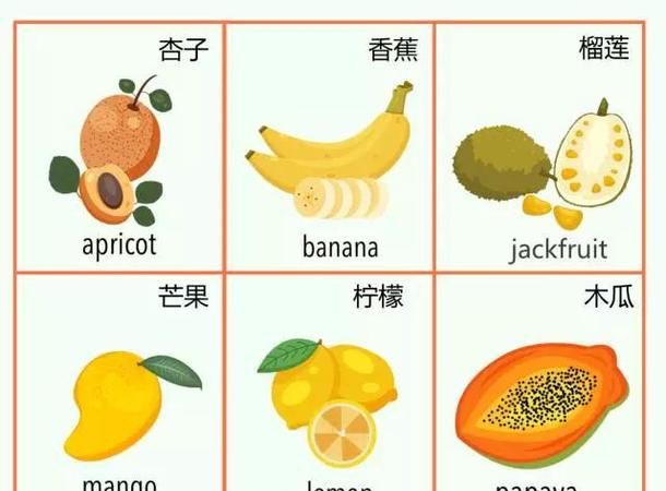 最全的水果和颜色的英文单词是什么