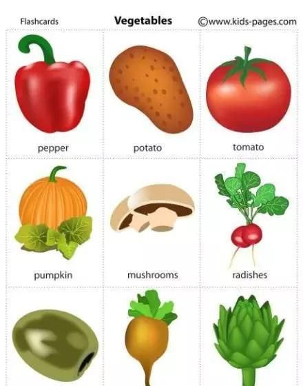 蔬菜英语怎么读音发音
